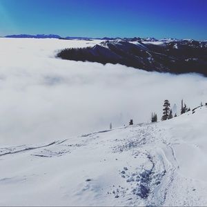 Meet your Posher, Evan